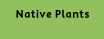 Native Plants